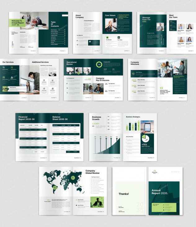 Annual Report Template InDesign INDD main preview
