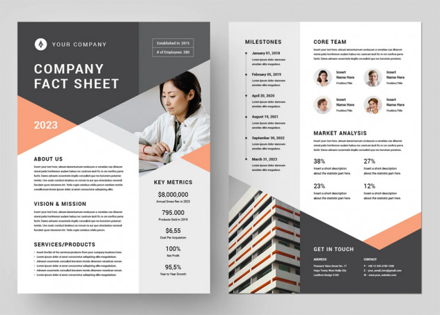 Preview of Company Fact Sheet Design