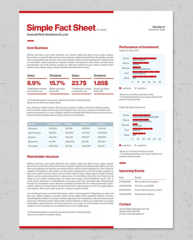 Preview of Modern Fact Sheet Template