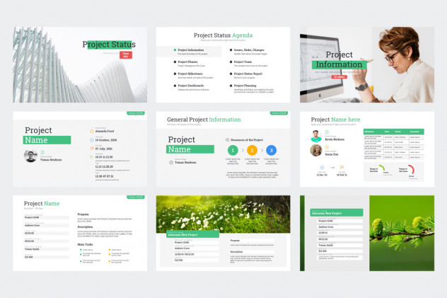 Project Status PowerPoint Presentation Template - product preview 0