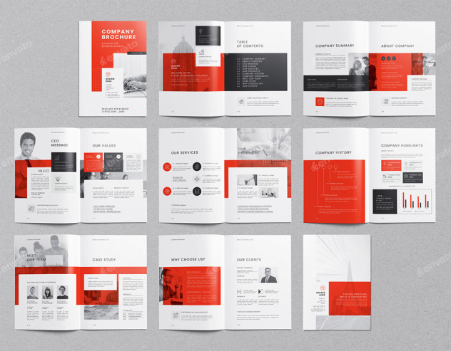 Company Brochure Template preview #11