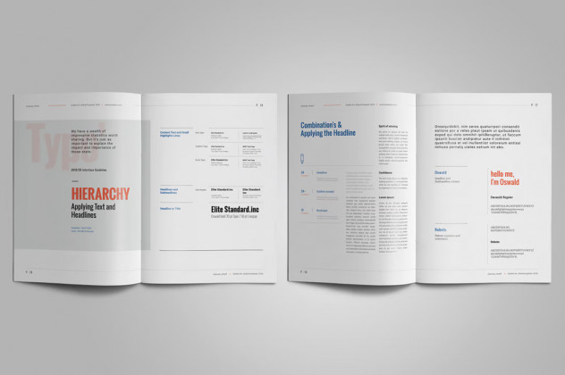 Brand Manual Brochure Design preview #9