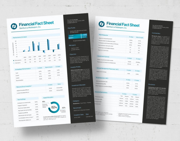 Preview of Professional Finance Fact Sheet Template for Data Reporting