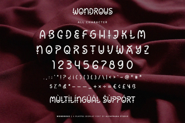 Wondrous &ndash; Display Font with a Romantic and Modern Feel preview #5