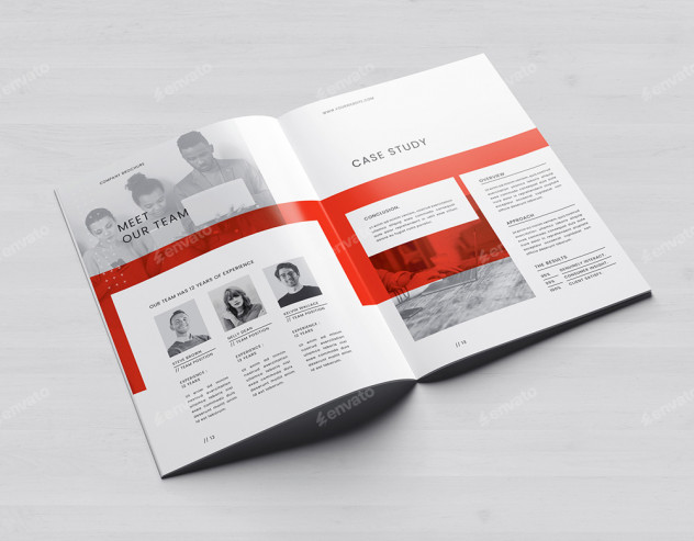 Company Brochure Template preview #9