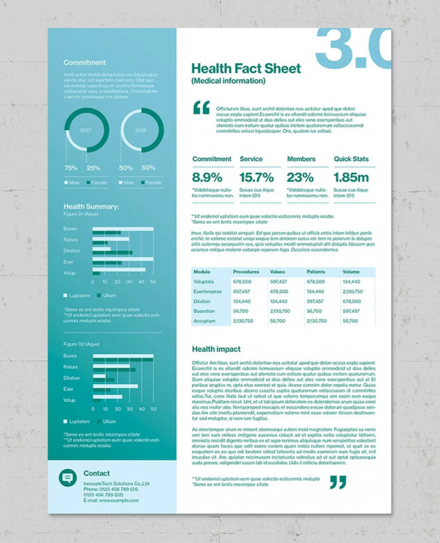 Minimalist Fact Sheet Template – InDesign & Canva