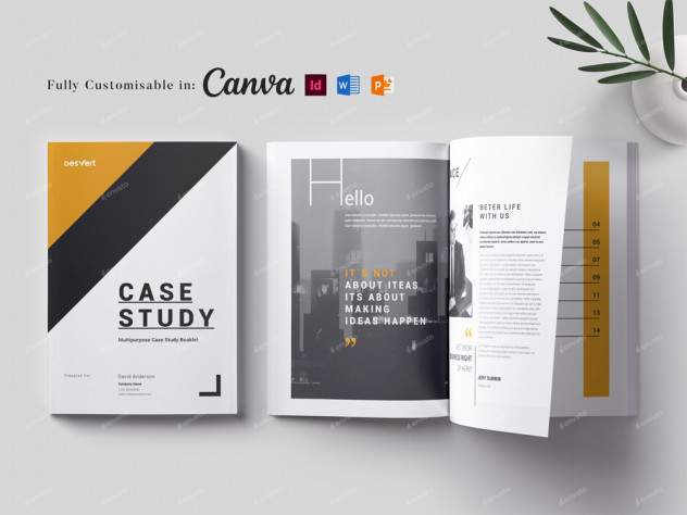 Professional Case Study Template preview #2