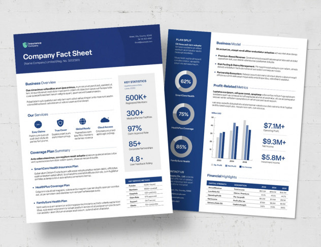 Preview of Modern Fact Sheet Template