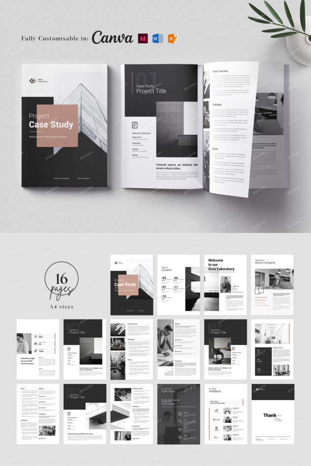 Preview of Project Case Study Brochure Design