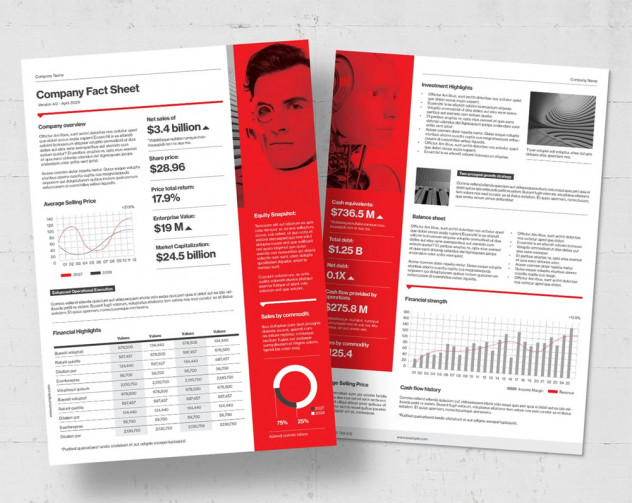 Preview of Modern Fact Sheet Template