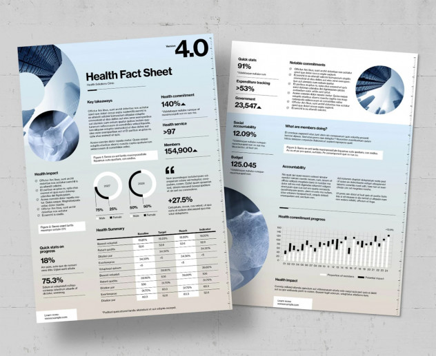 Preview of Professional Fact Sheet Template