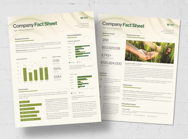 Preview of Fact Sheet Template
