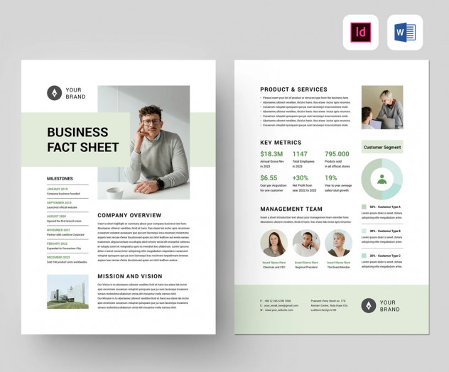 Preview of Modern Business Fact Sheet Template